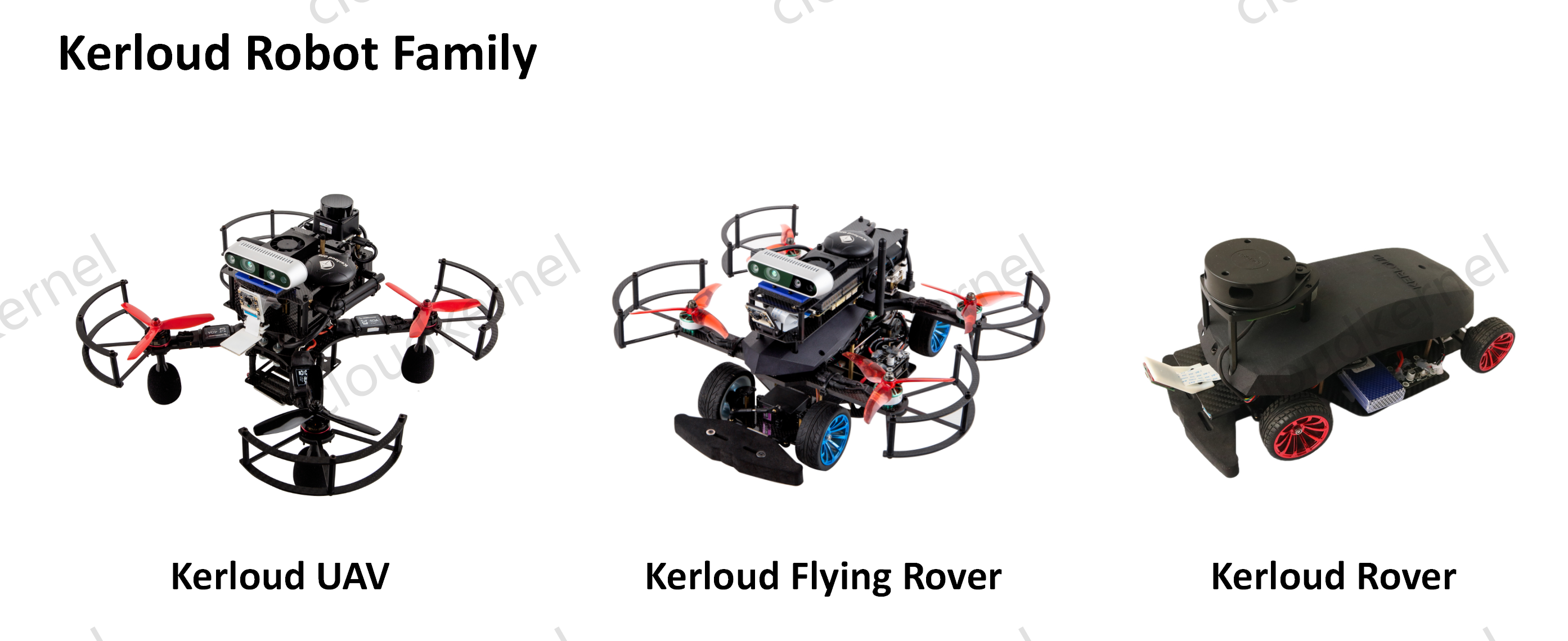 _images/vehicle_en.png